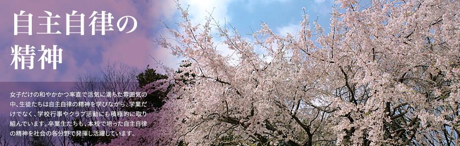 k8下载娱乐平台